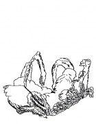 img1182